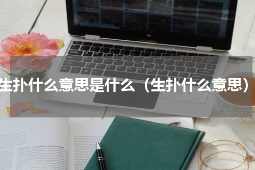 生扑什么意思是什么（生扑什么意思）