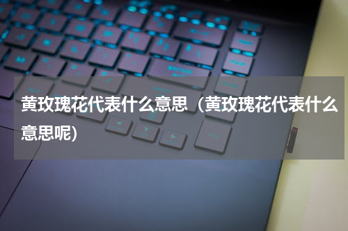 黄玫瑰花代表什么意思（黄玫瑰花代表什么意思呢）