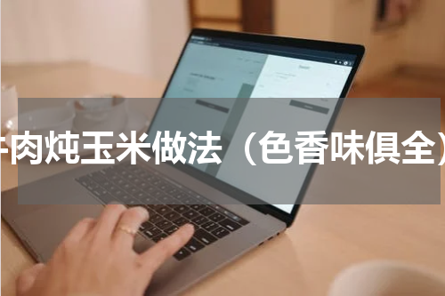 牛肉炖玉米做法（色香味俱全）