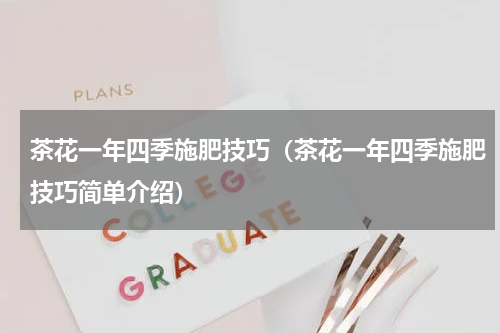 茶花一年四季施肥技巧（茶花一年四季施肥技巧简单介绍）