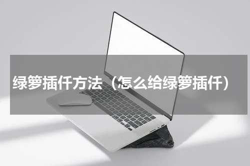 绿箩插仟方法（怎么给绿箩插仟）