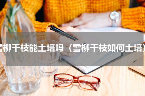 雪柳干枝能土培吗（雪柳干枝如何土培）