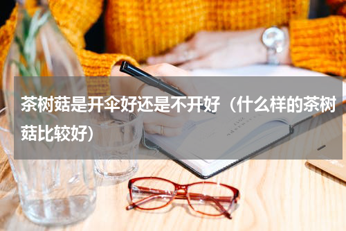 茶树菇是开伞好还是不开好（什么样的茶树菇比较好）