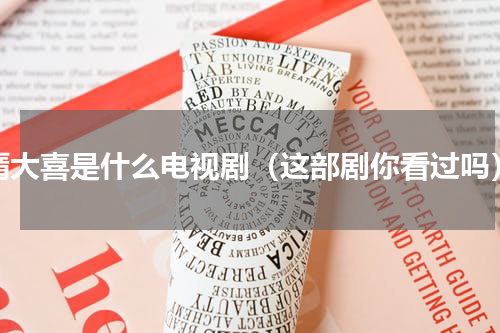 隋大喜是什么电视剧（这部剧你看过吗）