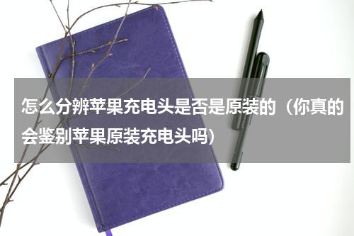 怎么分辨苹果充电头是否是原装的（你真的会鉴别苹果原装充电头吗）