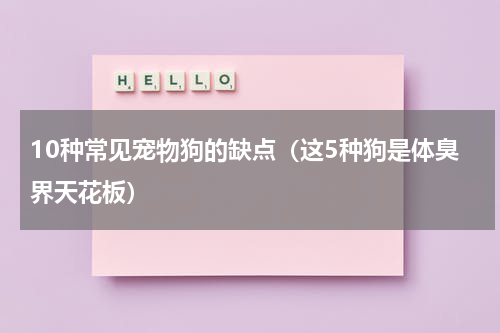10种常见宠物狗的缺点（这5种狗是体臭界天花板）