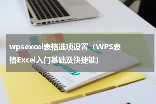 wpsexcel表格选项设置（WPS表格Excel入门基础及快捷键）