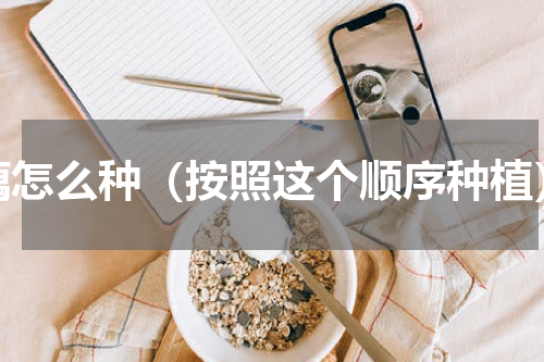 藕怎么种（按照这个顺序种植）