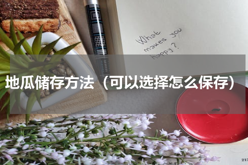 地瓜储存方法（可以选择怎么保存）