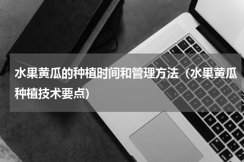 水果黄瓜的种植时间和管理方法（水果黄瓜种植技术要点）