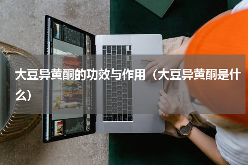 大豆异黄酮的功效与作用（大豆异黄酮是什么）