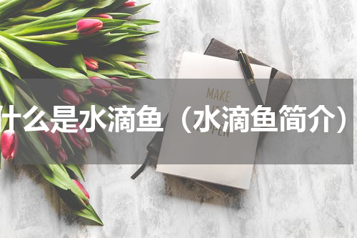 什么是水滴鱼（水滴鱼简介）