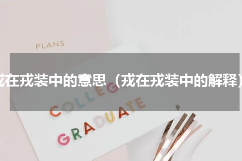 戎在戎装中的意思（戎在戎装中的解释）