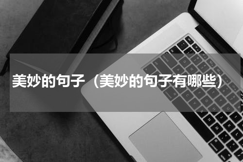 美妙的句子（美妙的句子有哪些）