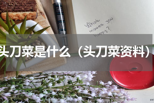 头刀菜是什么（头刀菜资料）
