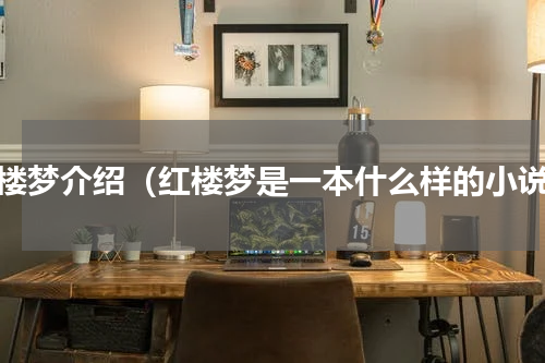 红楼梦介绍（红楼梦是一本什么样的小说）