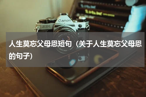 人生莫忘父母恩短句（关于人生莫忘父母恩的句子）