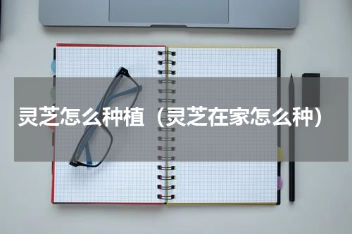 灵芝怎么种植（灵芝在家怎么种）