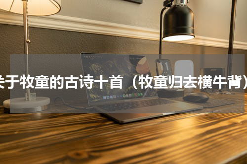 关于牧童的古诗十首（牧童归去横牛背）