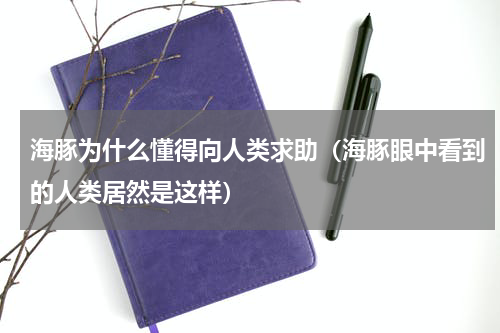 海豚为什么懂得向人类求助（海豚眼中看到的人类居然是这样）