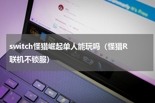 switch怪猎崛起单人能玩吗（怪猎R联机不锁服）