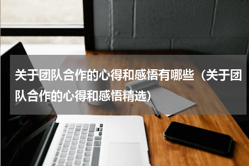 关于团队合作的心得和感悟有哪些（关于团队合作的心得和感悟精选）