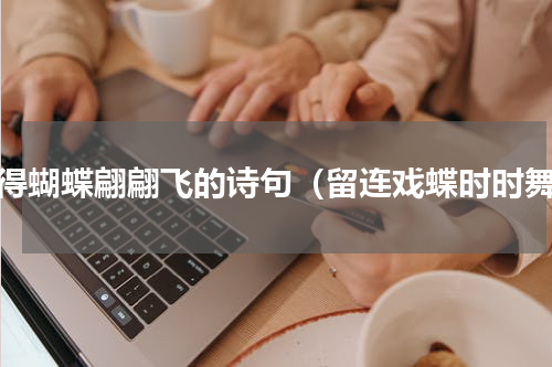 引得蝴蝶翩翩飞的诗句（留连戏蝶时时舞）
