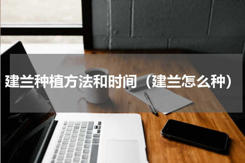 建兰种植方法和时间（建兰怎么种）