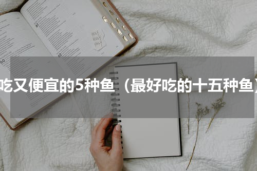 好吃又便宜的5种鱼（最好吃的十五种鱼）