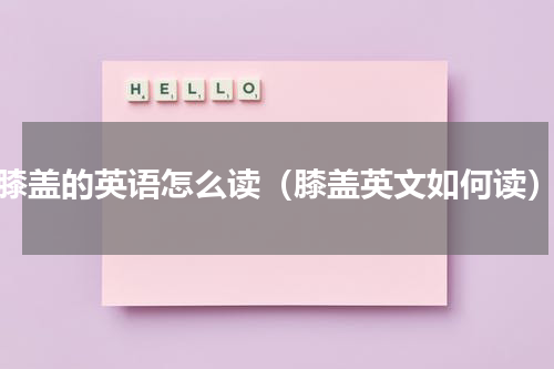 膝盖的英语怎么读（膝盖英文如何读）