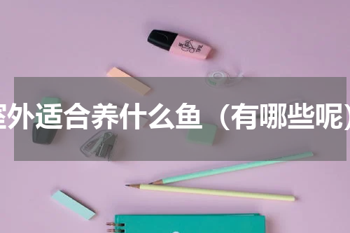 室外适合养什么鱼（有哪些呢）