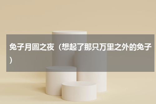 兔子月圆之夜（想起了那只万里之外的兔子）