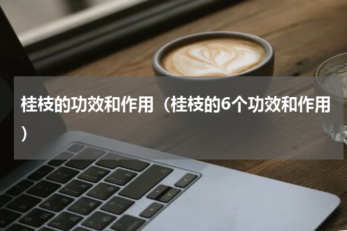 桂枝的功效和作用（桂枝的6个功效和作用）