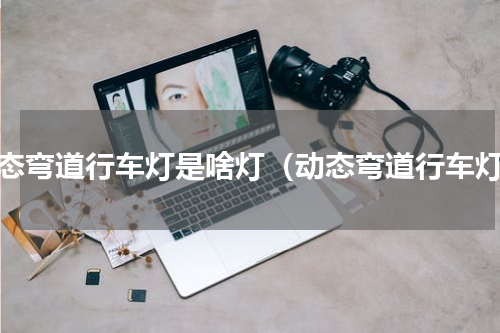动态弯道行车灯是啥灯（动态弯道行车灯）