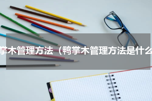 鸭掌木管理方法（鸭掌木管理方法是什么）