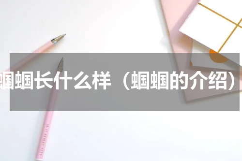 蝈蝈长什么样（蝈蝈的介绍）