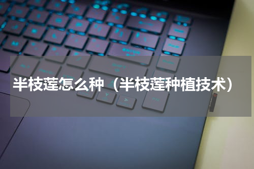 半枝莲怎么种（半枝莲种植技术）