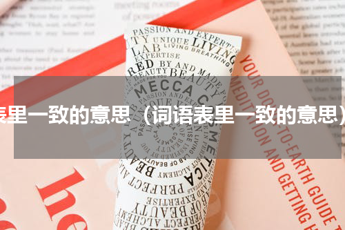 表里一致的意思（词语表里一致的意思）