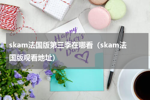 skam法国版第三季在哪看（skam法国版观看地址）
