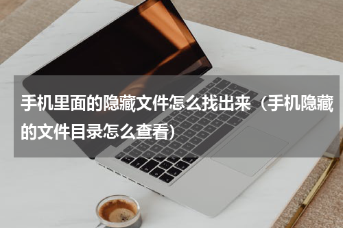 手机里面的隐藏文件怎么找出来（手机隐藏的文件目录怎么查看）
