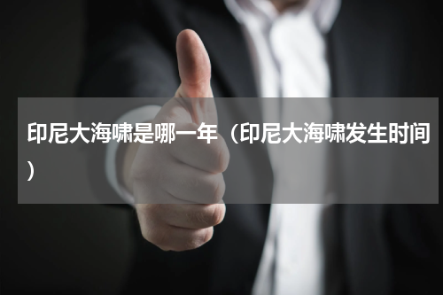印尼大海啸是哪一年（印尼大海啸发生时间）