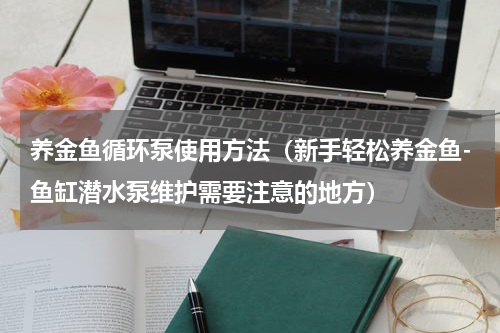 养金鱼循环泵使用方法（新手轻松养金鱼-鱼缸潜水泵维护需要注意的地方）