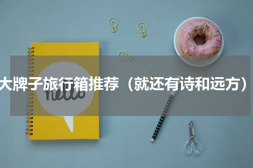 大牌子旅行箱推荐（就还有诗和远方）
