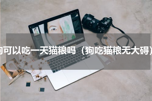 狗可以吃一天猫粮吗（狗吃猫粮无大碍）