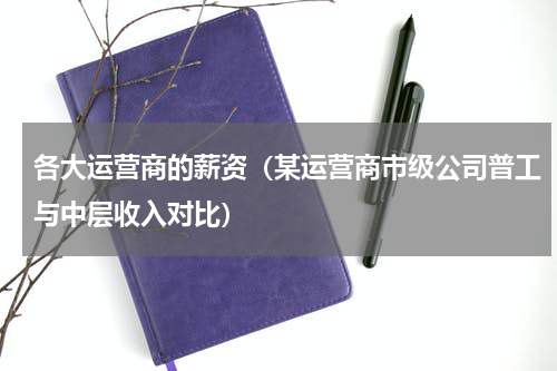 各大运营商的薪资（某运营商市级公司普工与中层收入对比）