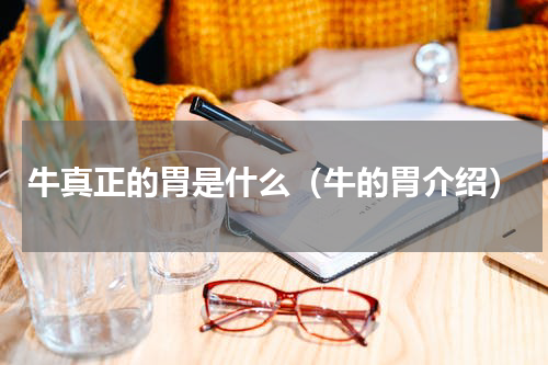 牛真正的胃是什么（牛的胃介绍）