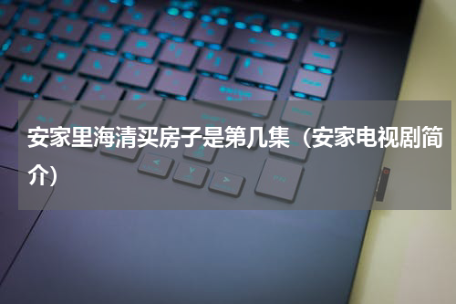 安家里海清买房子是第几集（安家电视剧简介）