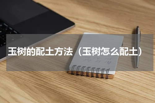 玉树的配土方法（玉树怎么配土）