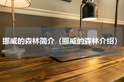 挪威的森林简介（挪威的森林介绍）
