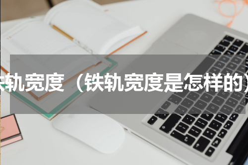 铁轨宽度（铁轨宽度是怎样的）